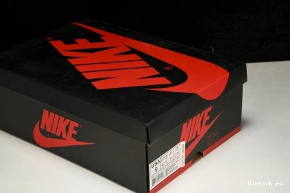 Jordan High 1 Rust Pink Retro 1205